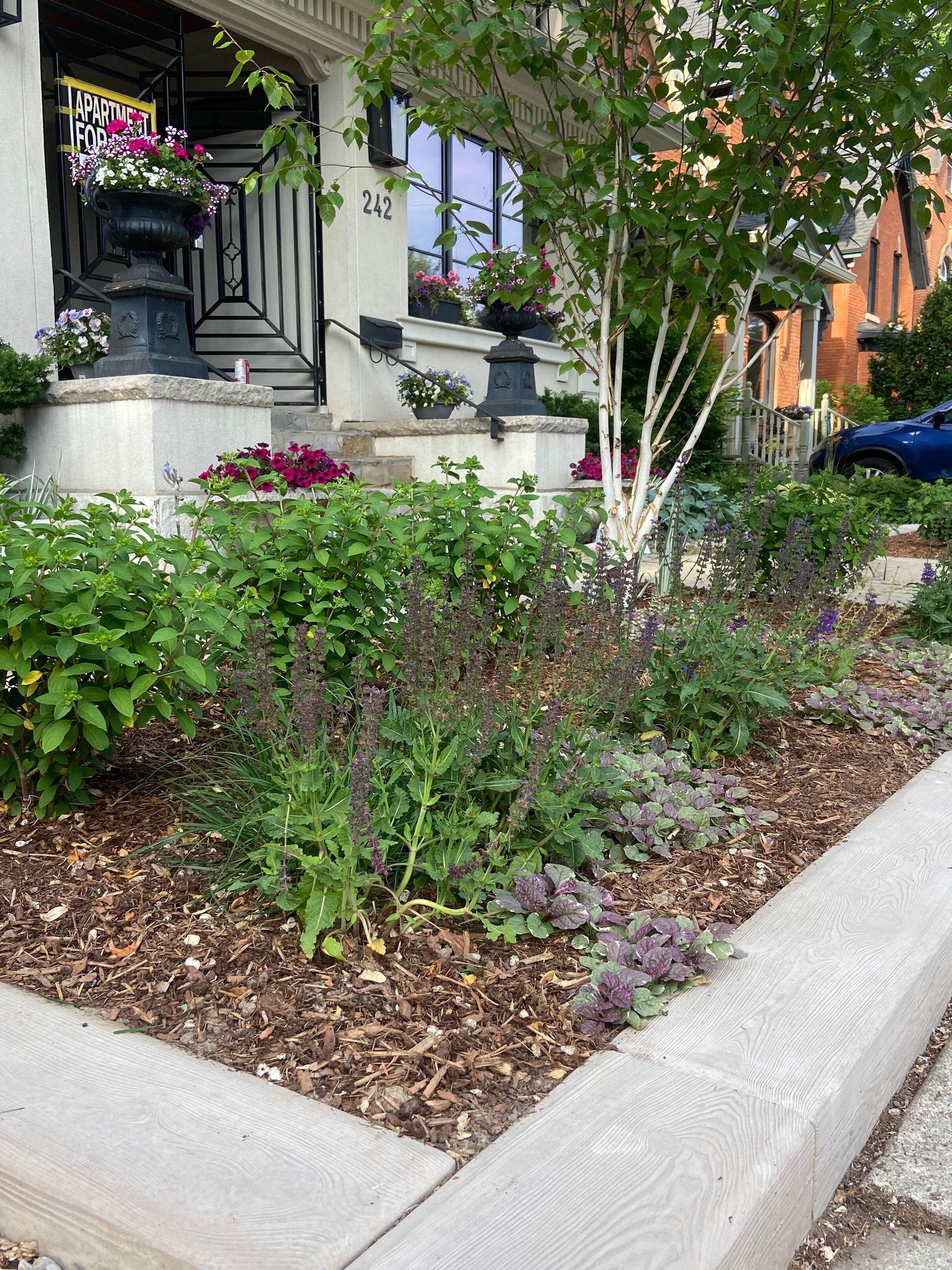 A lush front garden with Techo-Bloc stone edging in Paris, ON.